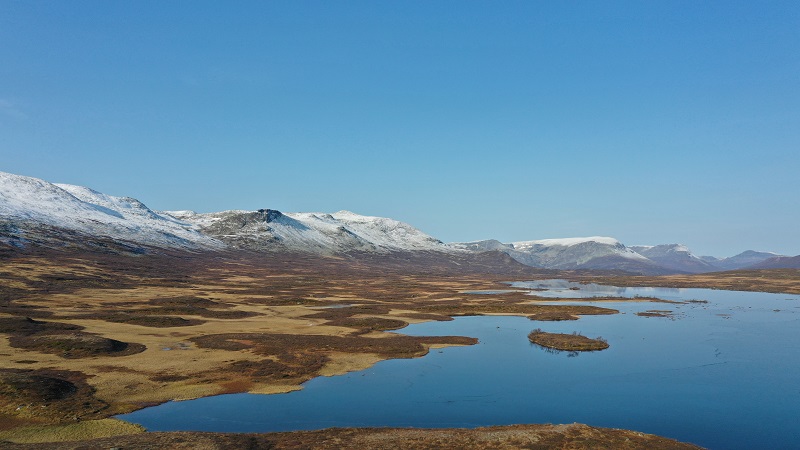 Skogshorn Hemsedal