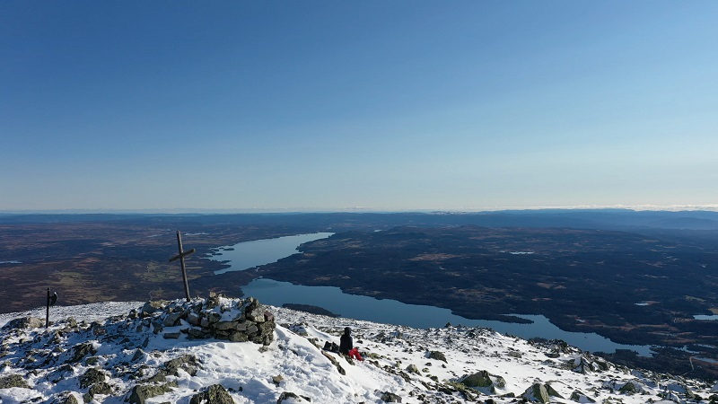 Skogshorn Hemsedal